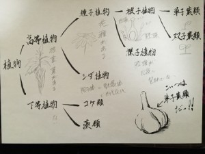 2016-02-14_071823728_F6E95_iOS