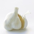 なんと、ニンニクの繁殖のしかたは２通りあった!!